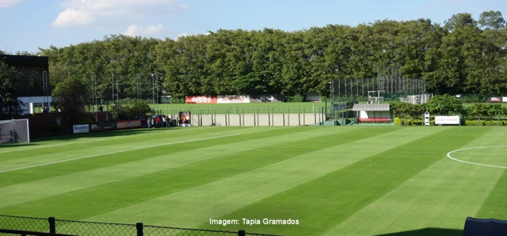 Limpeza geral: São Paulo não espera o fim do ano e demite funcionários do CT | Blog São Paulo Sempre